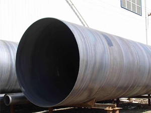 �V���ƌ�������