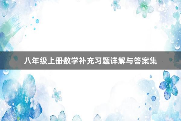 八年级上册数学补充习题详解与答案集